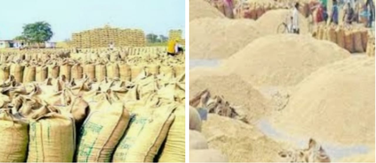 अब छत्तीसगढ़ का चावल खरीदेगी मोदी सरकार,  अरविन्द तिवारी की रिपोर्ट-रायपुर-
