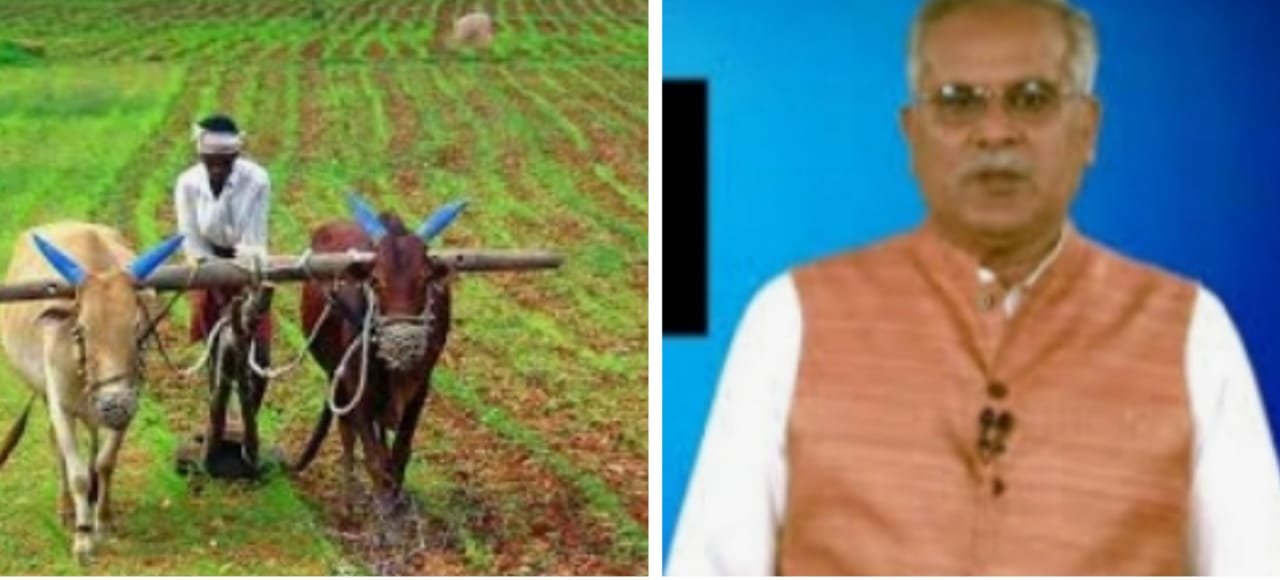 मुख्यमंत्री आज देर शाम किसानों को करेंगे संबंधित-रायपुर
