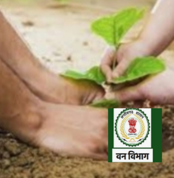 आज से हर जिला मुख्यालय में बँटेंगे नि:शुल्क पौधे , हेल्पलाईन नंबर जारी-रायपुर
