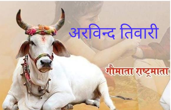 गाय की उपेक्षा से ही भारत की दुर्दशा  हुई है — अरविन्द तिवारी