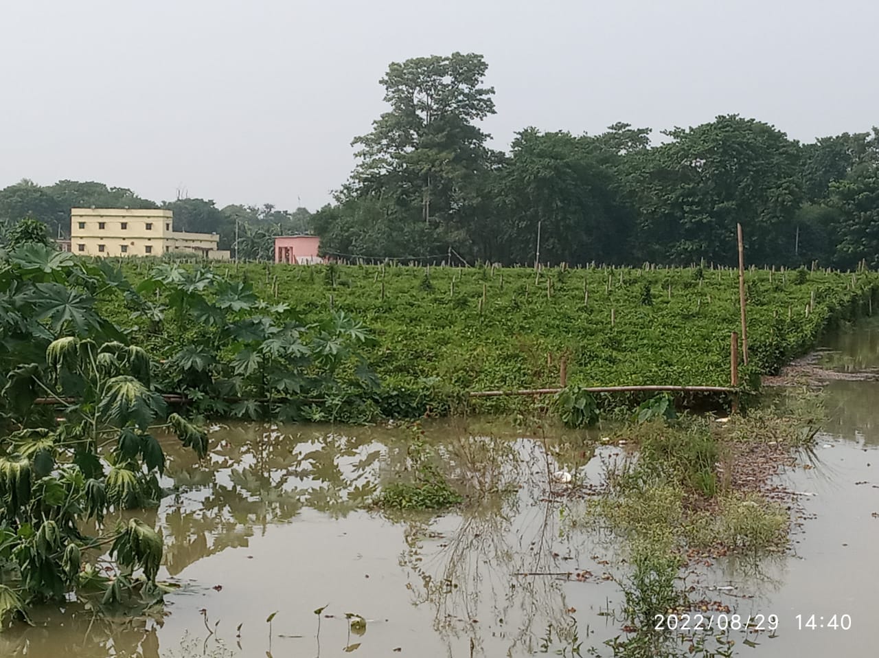 गंगा नदी के जलस्तर में वृद्धि,सोनपुर प्रखंड के सबलपुर के चारों पंचायत बाढ़ से प्रभावित –सोनपुर